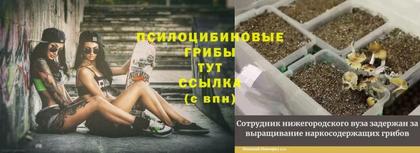 бутират Баксан
